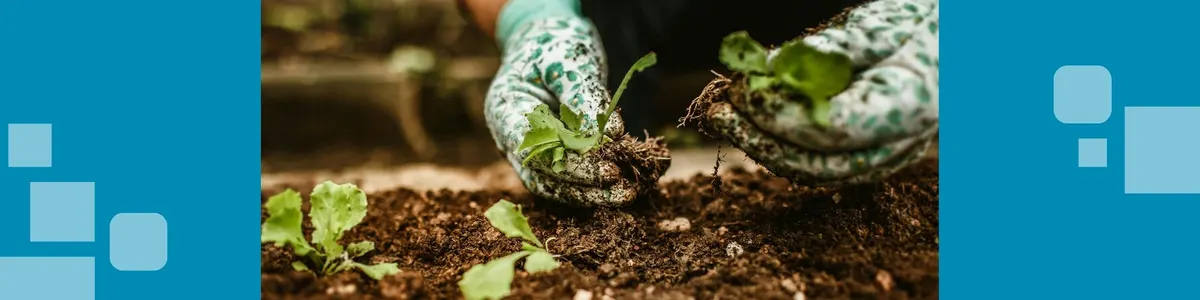 Native Plant Seedy Saturday