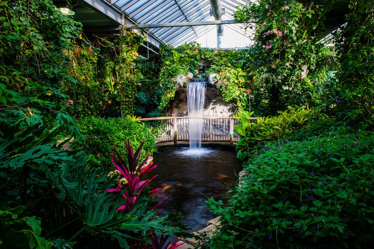 Waterfall and tropical plants inside Cambridge Butterfly Conservatory
